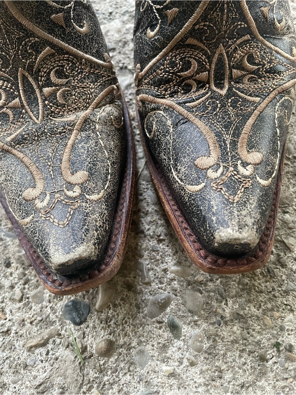CIRCLE G Women Western Core Gray Embroidered Floral LeatherPull on Boots SZ 9 - Picture 13 of 16